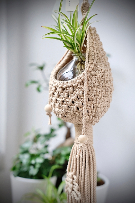 06_cocoon