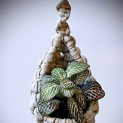 13_cocoon.jpg