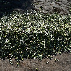 034_060_PBR_8654.JPG