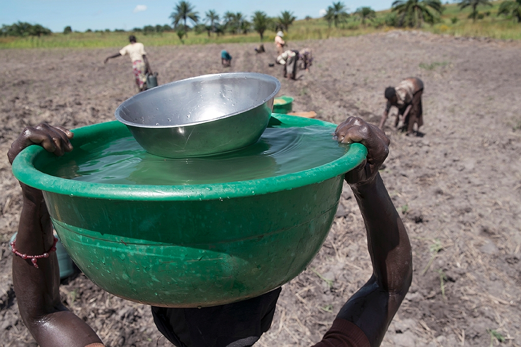 Agua en la agricultura.
