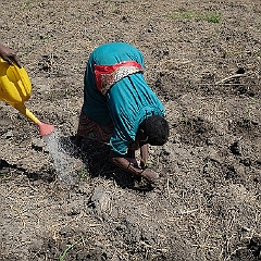 _DSF6043.jpg