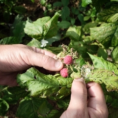004_DSF2504.JPG